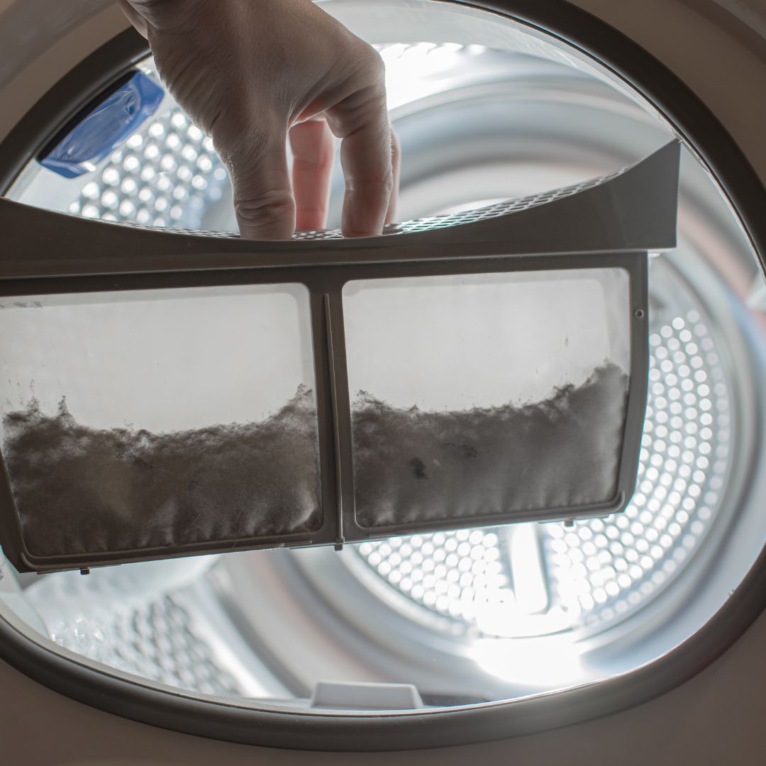 lots of dryer lint